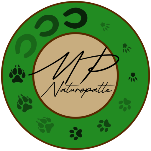 MP Naturopatte